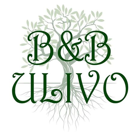 Ulivo Bed & Breakfast Trapani Dış mekan fotoğraf